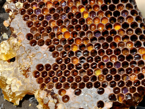 Объединяем лучших